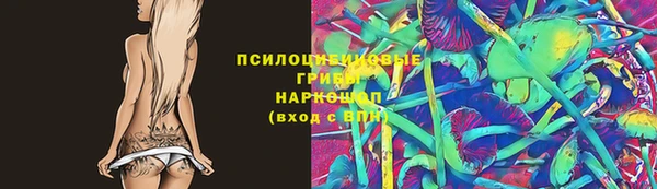 ПСИЛОЦИБИНОВЫЕ ГРИБЫ Беломорск